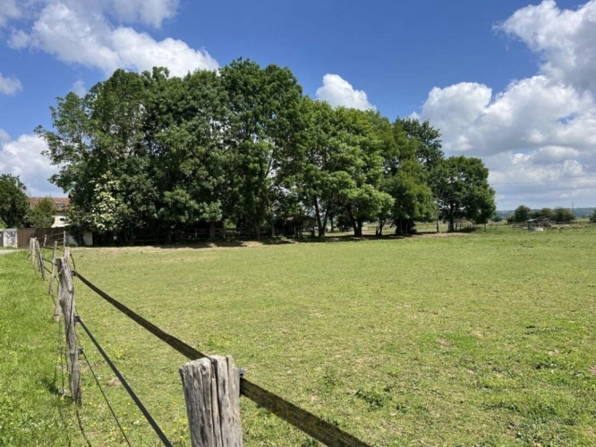 Photos 4 - Equestrian - Farm with outbuildings