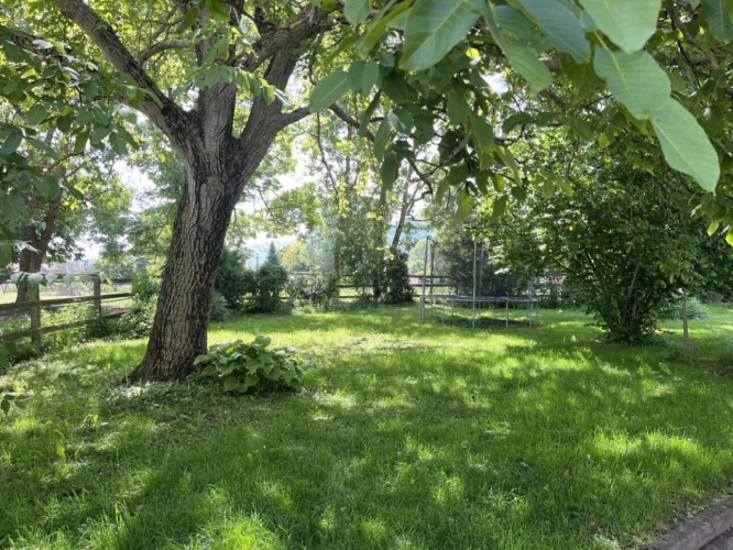 Photos 5 - Equestrian - Farm with outbuildings