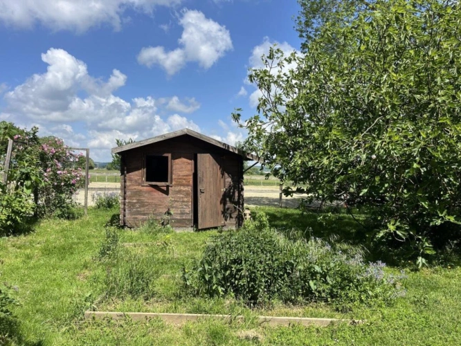 Photos 6 - Equestrian - Farm with outbuildings