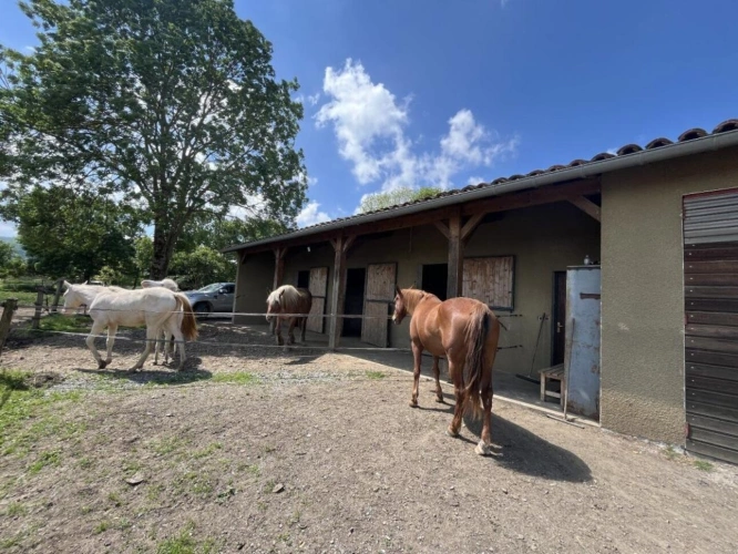 Photos 7 - Equestrian - Farm with outbuildings