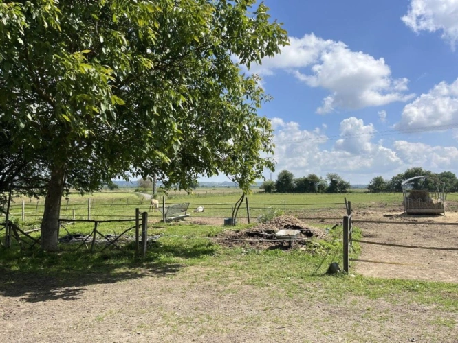 Photos 8 - Equestrian - Farm with outbuildings