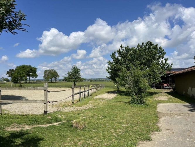 Photos 10 - Equestrian - Farm with outbuildings