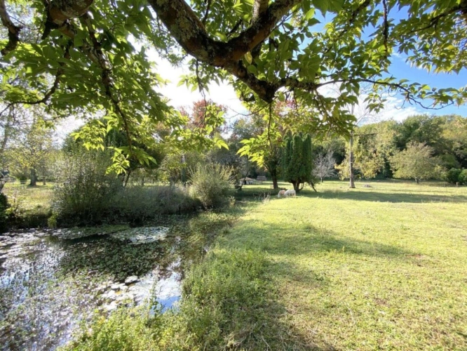 Photos 3 - Equestrian - PROPERTY with 1,6HA