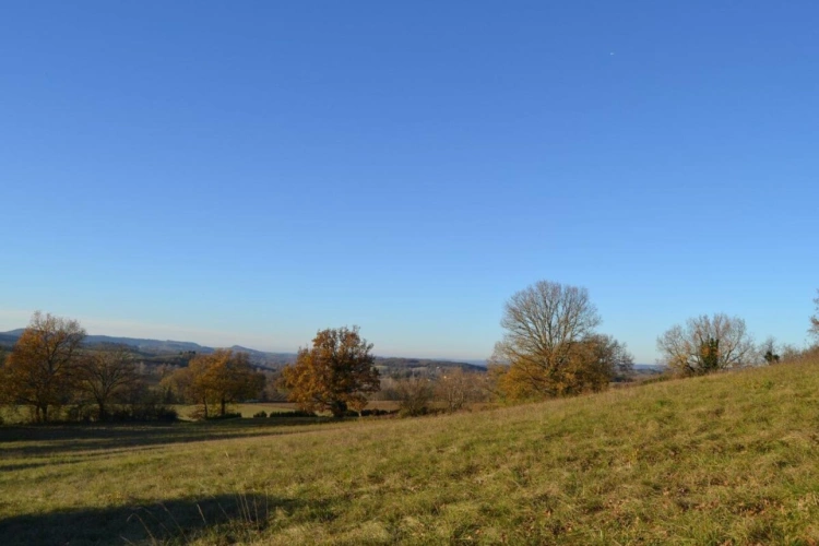 Photos 17 - Rurale - Maison de caractère 253 m² avec piscine sur 4 ha