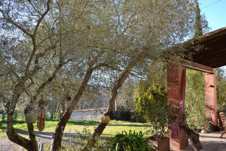 Photos 12 - Rurale - Maison de caractère 253 m² avec piscine sur 4 ha
