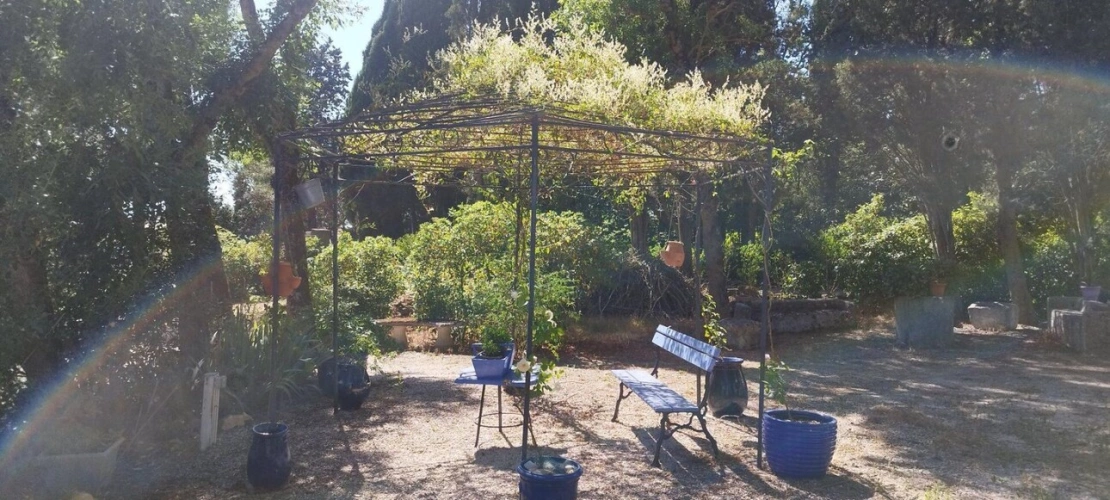 Photos 12 - Équestre - Magnifique maison de caractère avec gite, piscine, dépendance et 4.4ha