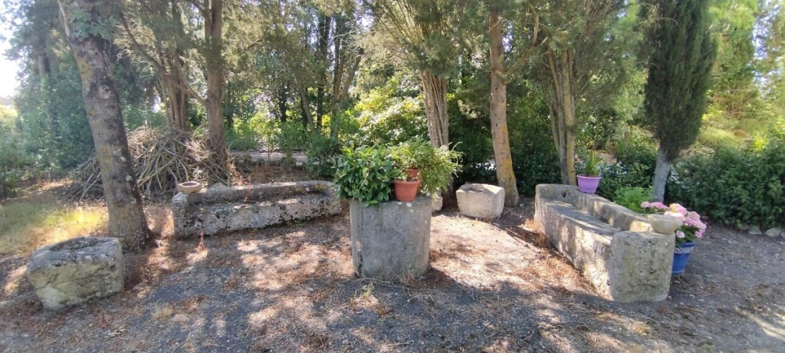 Photos 7 - Équestre - Magnifique maison de caractère avec gite, piscine, dépendance et 4.4ha