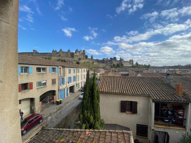 Photos 11 - Prestige - Ensemble immobilier avec jardin, piscine et vue sur la cité médiévale