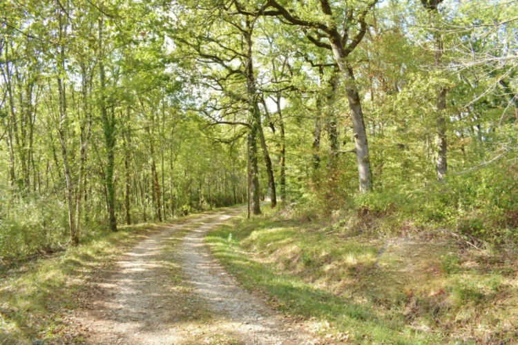 Photos 18 - Rurale - Ravissante propriété sur 12 Ha attenants, très calme sans voisinage