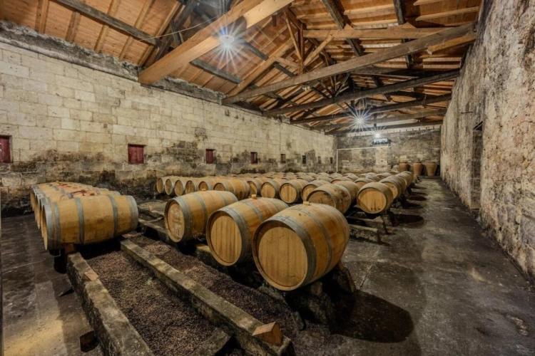 Photos 10 - Prestige - Élégance et héritage un château d'exception au coeur d'un vignoble classé
