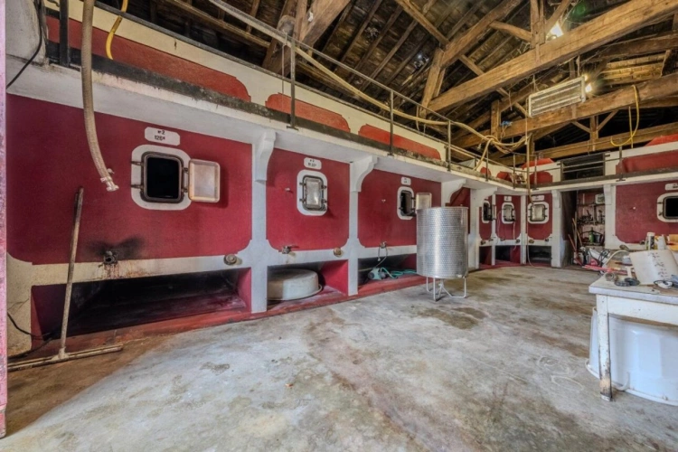 Photos 6 - Prestige - Élégance et héritage un château d'exception au coeur d'un vignoble classé