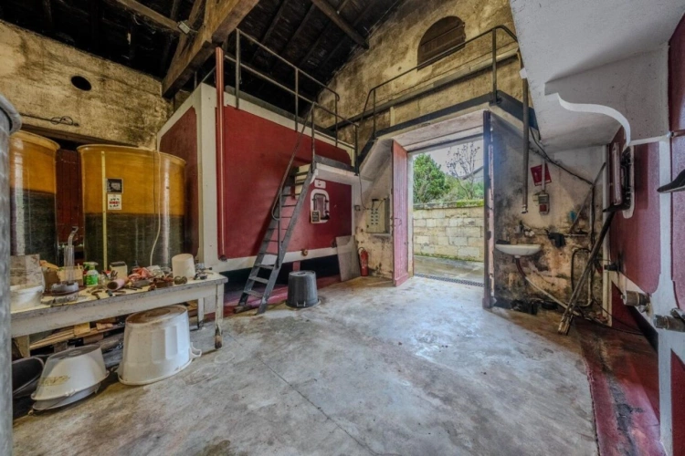 Photos 8 - Prestige - Élégance et héritage un château d'exception au coeur d'un vignoble classé