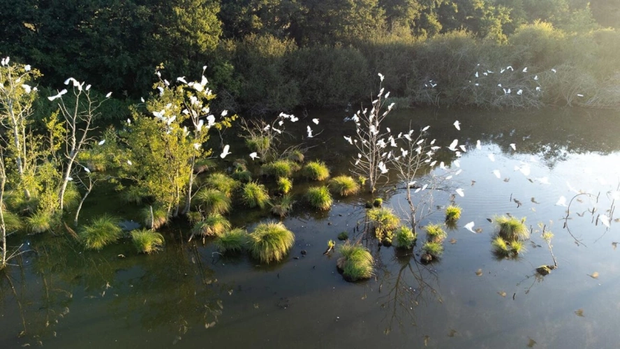 Photos 13 - Forestière - Domaine de Chasse et de Pêche d'Exception - Un Écrin de Nature et de Tranquillité