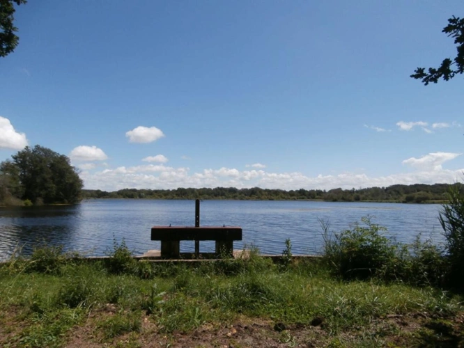 Photos 4 - Forestière - Domaine de Chasse et de Pêche d'Exception - Un Écrin de Nature et de Tranquillité