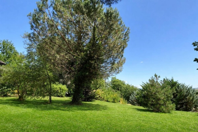 Photos 10 - Rurale - Un bien rare aux volumes exceptionnels à 3 km de Périgueux centre ville