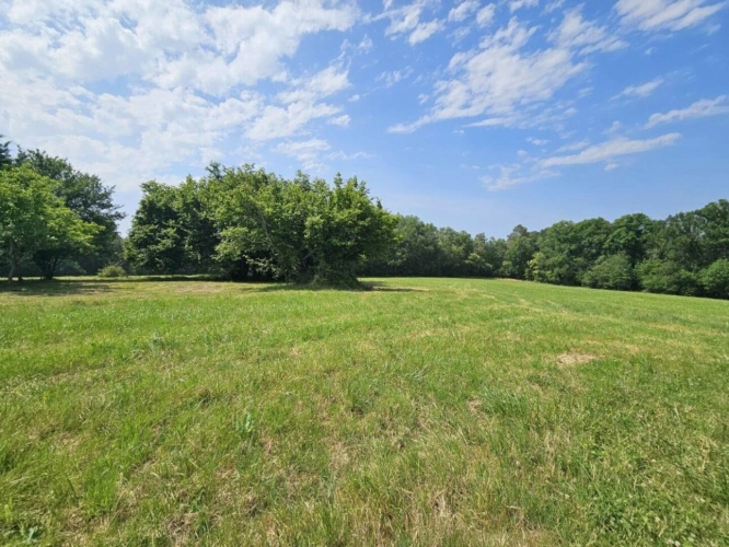 Photos 16 - Rurale - Havre de paix en Dordogne avec maison en pierre, puits et 3 hectares