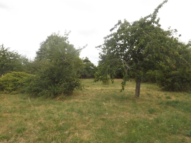 Photos 14 - Touristique - Hiesse - Maison avec 6 chambres, dependences et terrain -  - oportunity chambres d'hotes
