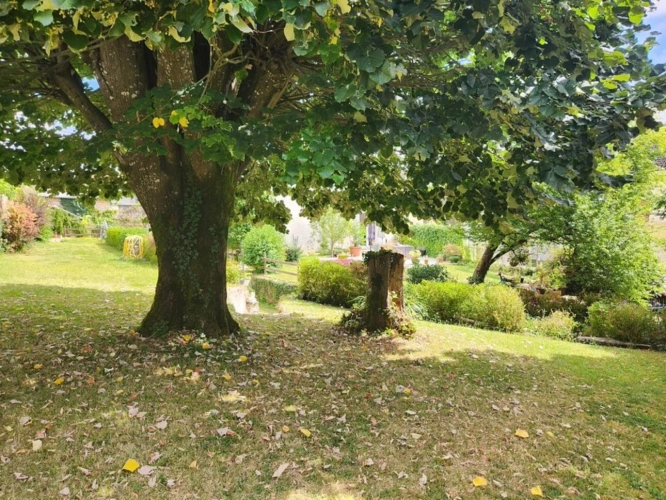 Photos 12 - Touristique - Champagne Mouton - Chambre d'hôtes avec jardin privé, piscine et parking