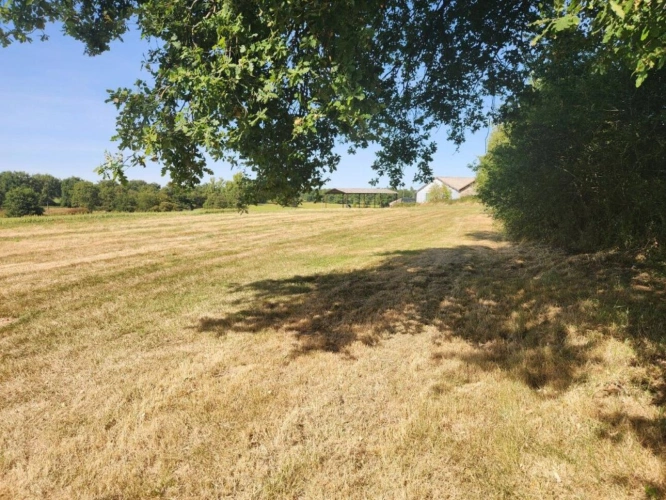 Photos 7 - Touristique - Bussiere Poitivine - Magnifique propriété avec maison en pierre rénovée et dépendances - gite/business