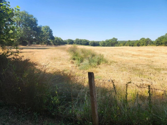 Photos 7 - Équestre - Asnieres sur Blour -  Belle 12 pieces maison charmante avec piscine et 4 hectares