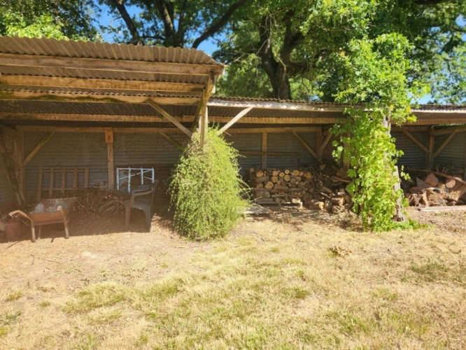 Photos 8 - Équestre - Asnieres sur Blour -  Belle 12 pieces maison charmante avec piscine et 4 hectares