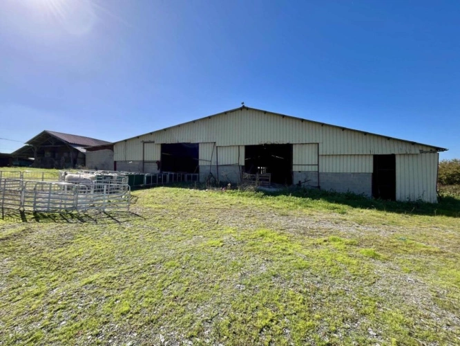 Photos 13 - Agricole - Ferme de 92 hectares