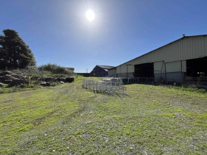 Photos 14 - Agricole - Ferme de 92 hectares
