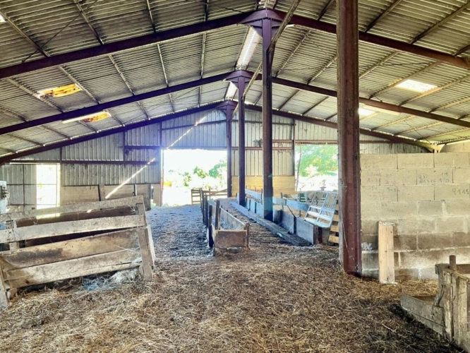 Photos 16 - Agricole - Ferme de 92 hectares