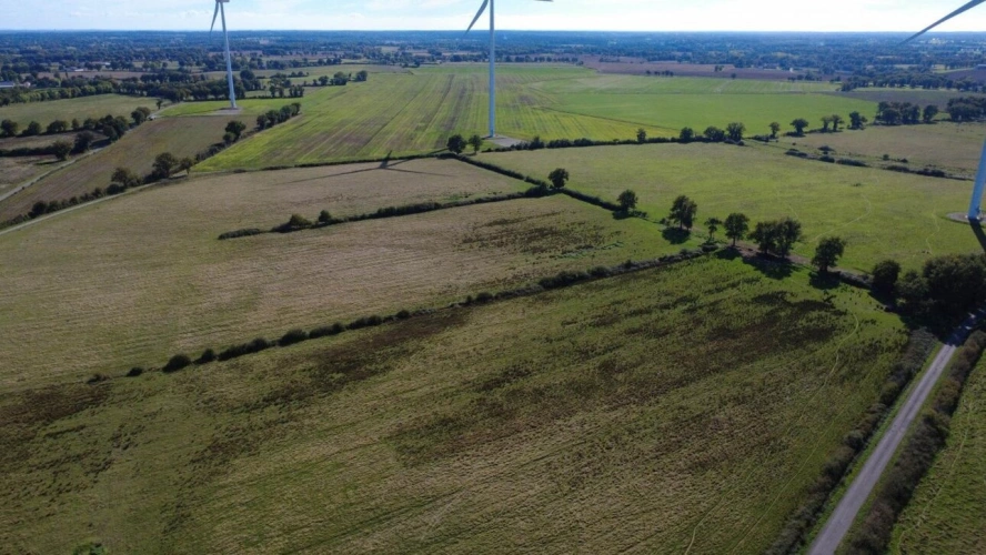 Photos 8 - Agricole - Ferme de 92 hectares