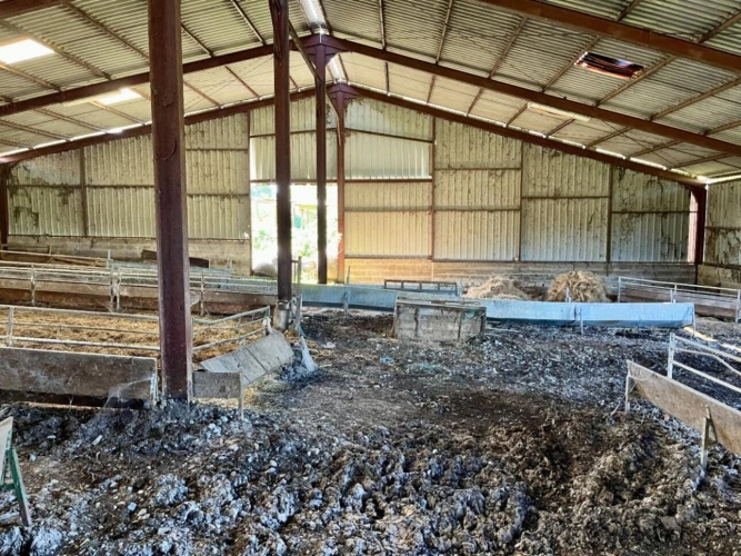 Photos 12 - Agricole - Ferme de 92 hectares