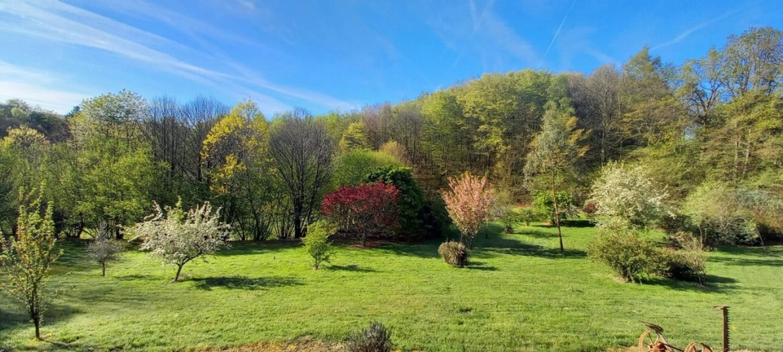 Photos 3 - Rurale - Spacieuse maison de campagne avec parc et bois, située au calme et offrant une vue magnifique