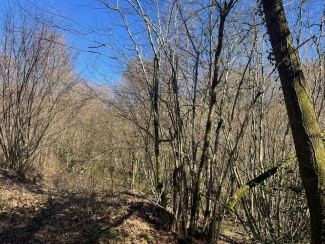 Photos 7 - Rurale - Spacieuse maison de campagne avec parc et bois, située au calme et offrant une vue magnifique