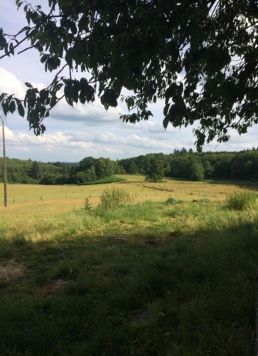 Photos 11 - Agricole - Ferme avec 27 hectares de terres certifiées bio, maison, plus maison à restaurer et dépendances dans un bel endroit