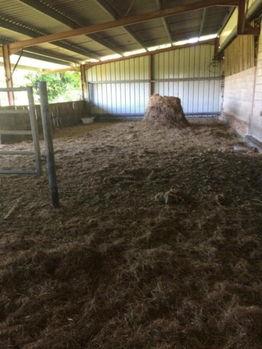Photos 15 - Agricole - Ferme avec 27 hectares de terres certifiées bio, maison, plus maison à restaurer et dépendances dans un bel endroit