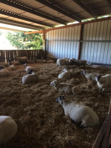 Photos 8 - Agricole - Ferme avec 27 hectares de terres certifiées bio, maison, plus maison à restaurer et dépendances dans un bel endroit