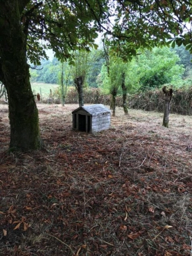 Photos 9 - Agricole - Ferme avec 27 hectares de terres certifiées bio, maison, plus maison à restaurer et dépendances dans un bel endroit