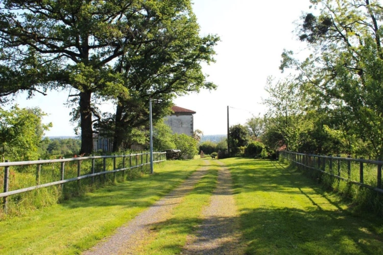 Photos 15 - Équestre - Maison de 6 chambres avec gîte de 2 chambres, 14 hectares de pâturages et bois