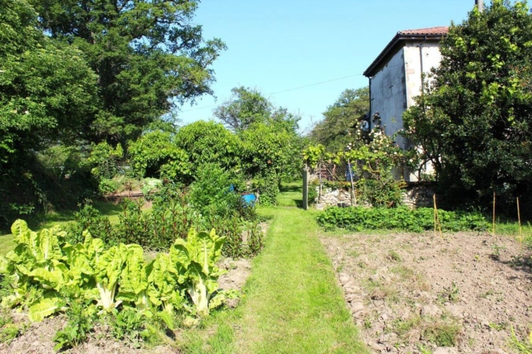 Photos 16 - Équestre - Maison de 6 chambres avec gîte de 2 chambres, 14 hectares de pâturages et bois