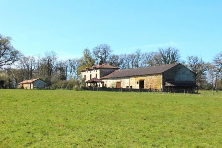 Photos 18 - Équestre - Maison de 6 chambres avec gîte de 2 chambres, 14 hectares de pâturages et bois