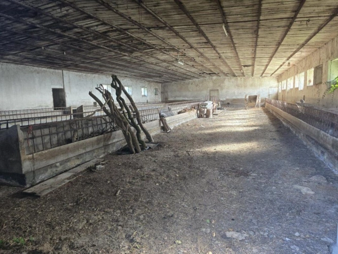 Photos 7 - Touristique - Corps de ferme avec maison, appartement et dépendances - Durenque