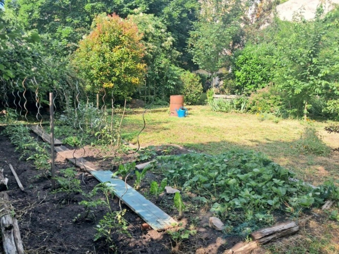 Photos 6 - Rurale - Maison de Maître, jardin arboré et garage, centre ville