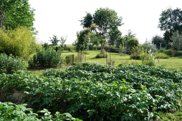 Photos 4 - Rurale - Maison de charme en pierre entre Fleurance et Auch