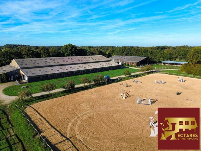 Photos 9 - Équestre - Propriété équestre Blain 10 pièce(s) 15 hectares