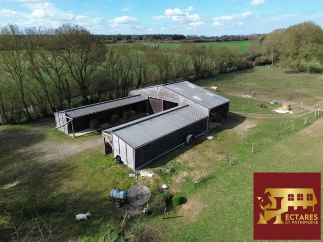 Photos 5 - Équestre - Propriété équestre, 10 hectares, 2 maisons