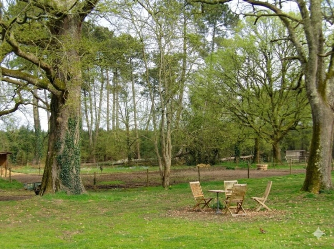Photos 4 - Équestre - Authentique maison landaise