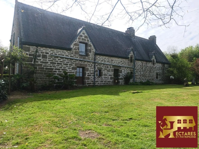 Photos 2 - Equestrian - Domaine équestre 26 Hectares avec Gîte