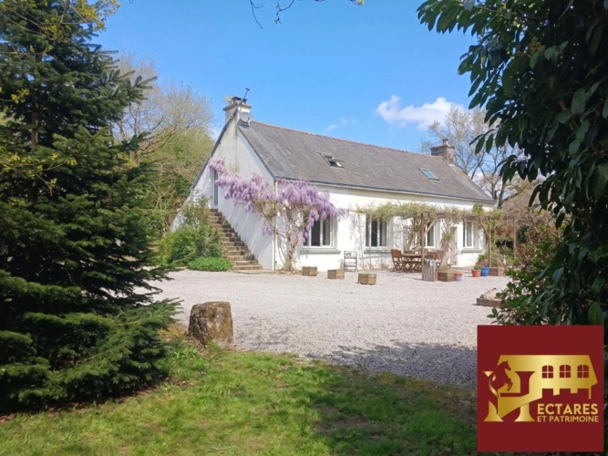 Photos 3 - Equestrian - Domaine équestre 26 Hectares avec Gîte