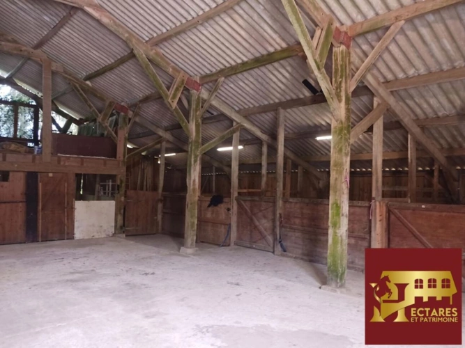 Photos 5 - Equestrian - Domaine équestre 26 Hectares avec Gîte