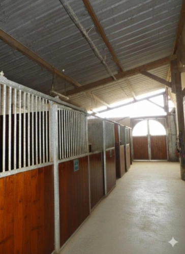 Photos 10 - Équestre - Haras sur 15 Hectares