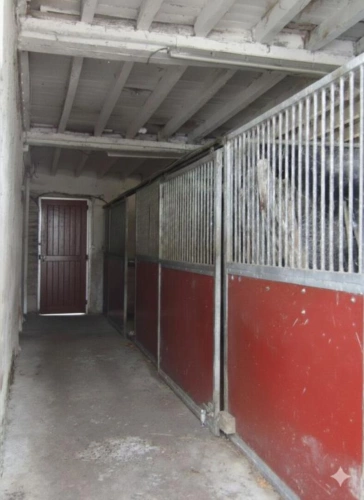 Photos 11 - Équestre - Haras sur 15 Hectares